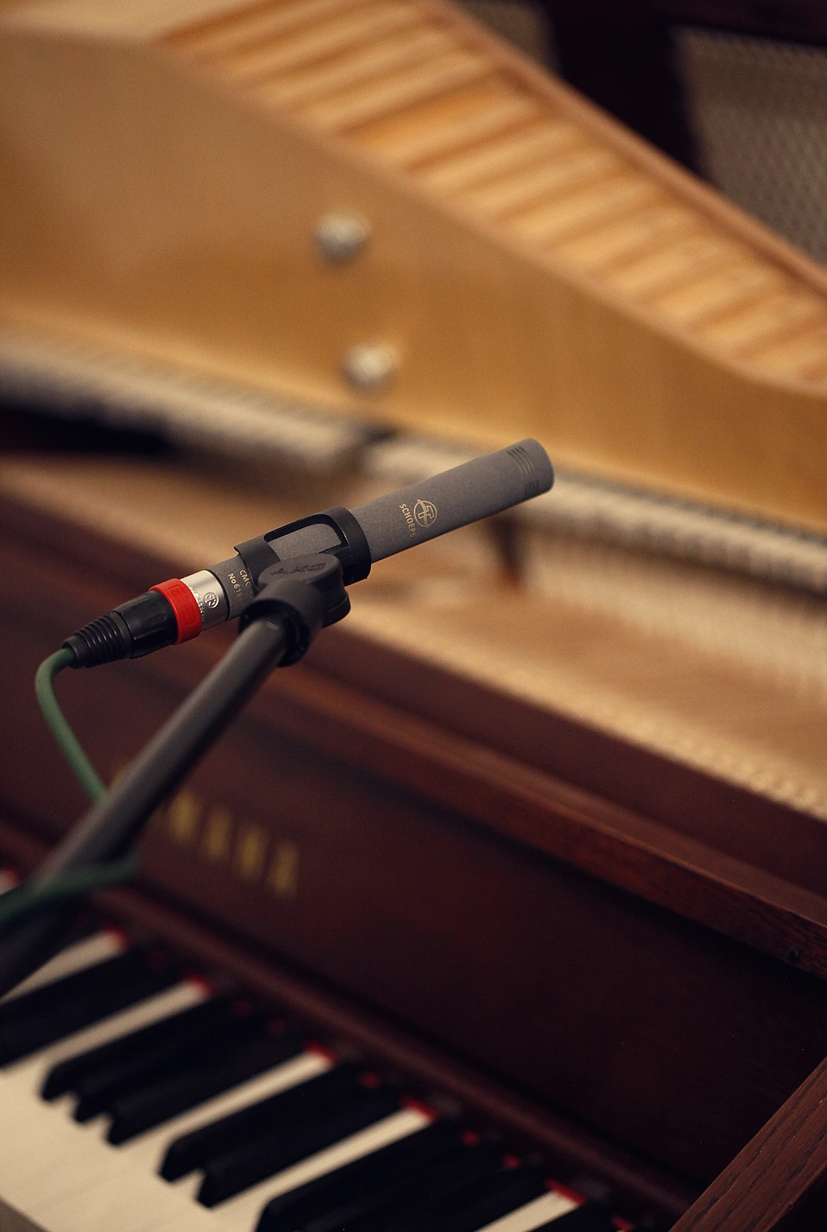 Recording process with Schoeps microphones of CAELUM